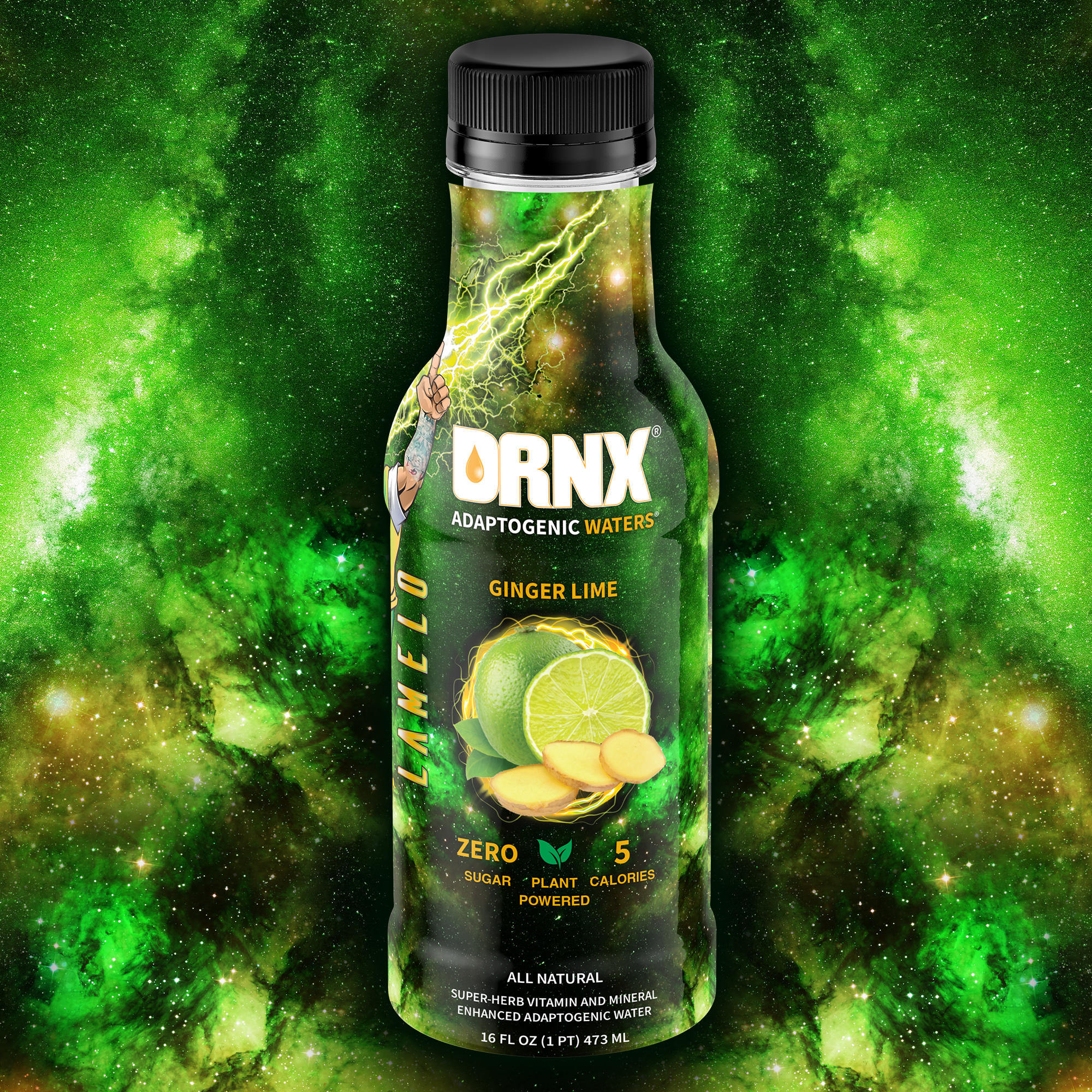 Wellness Hydration Drink Mix, Lemon and Lime, 21g, Single Serving 8-Pack -  NOR CAL SPINNERS